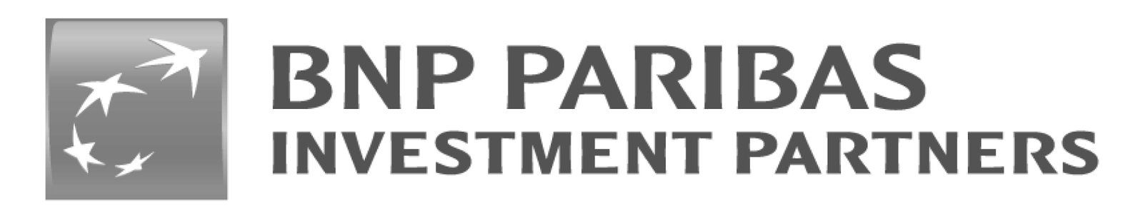 Logo BNP paribas investment partners